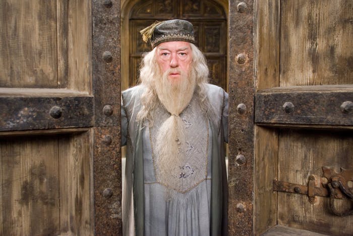 Dumbledore to stay in closet for new Fantastic Beasts movie
