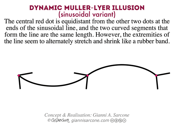 Cool animated examples of the Muller-Lyer illusion