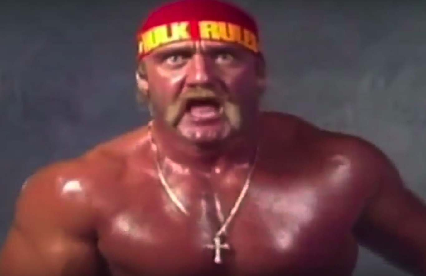 Hulk Hogan vs Randy Savage pre-fight rant with the words removed ...