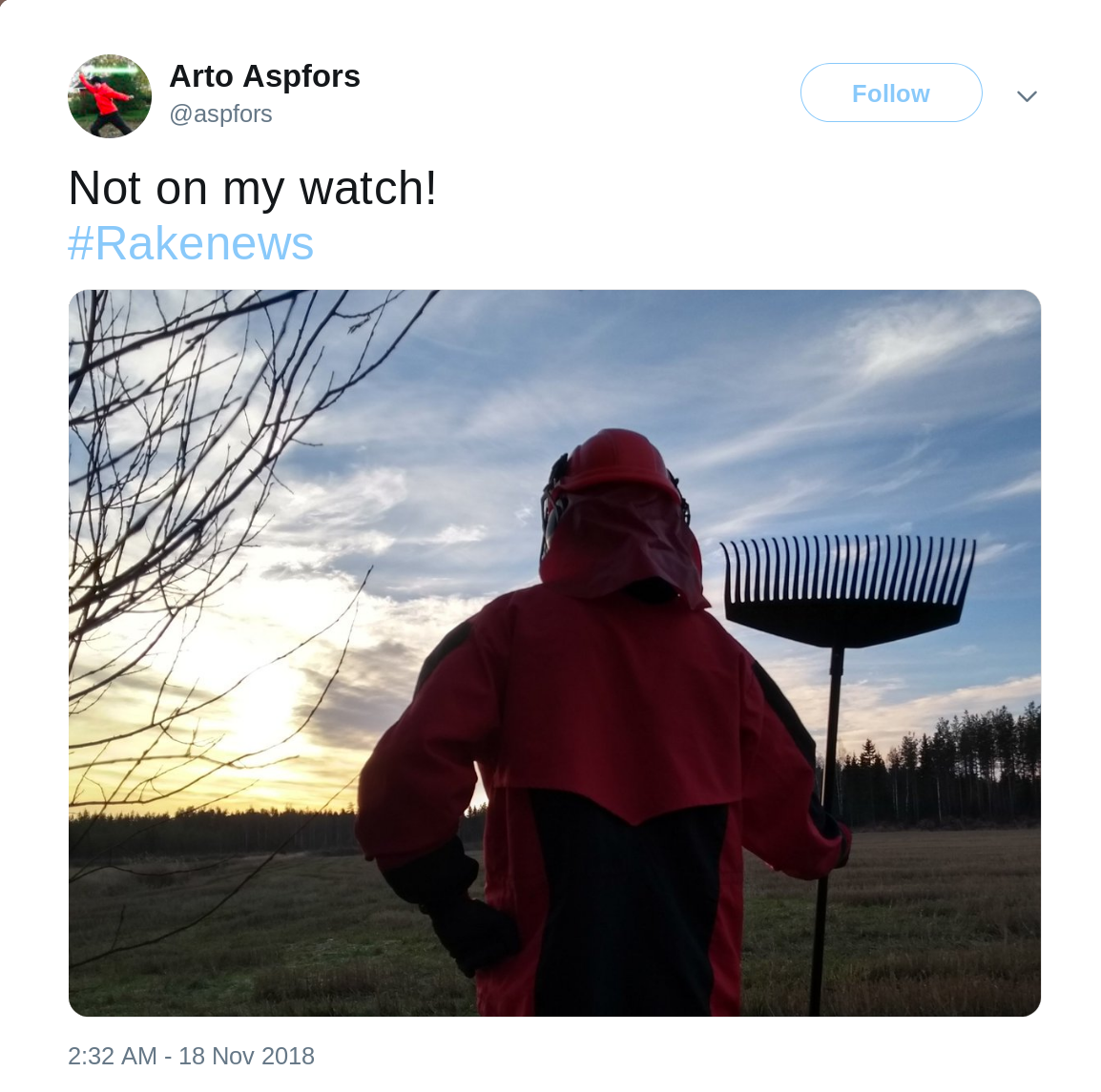 Image result for photos of people raking forests in Finland