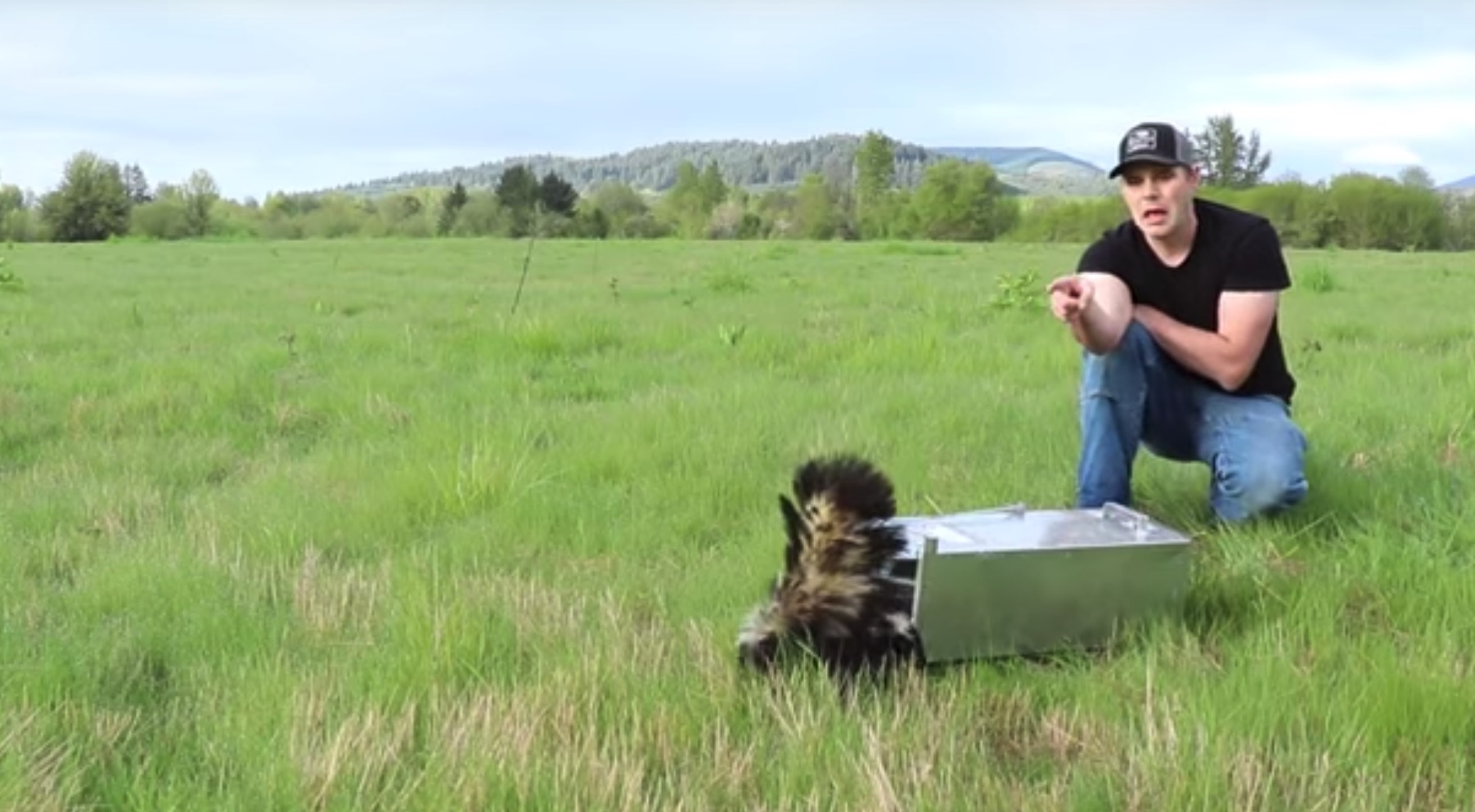 Man tests "no-spray" skunk trap, gets sprayed / Boing Boing