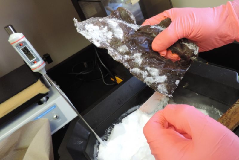 Photo of a knife made of human feces