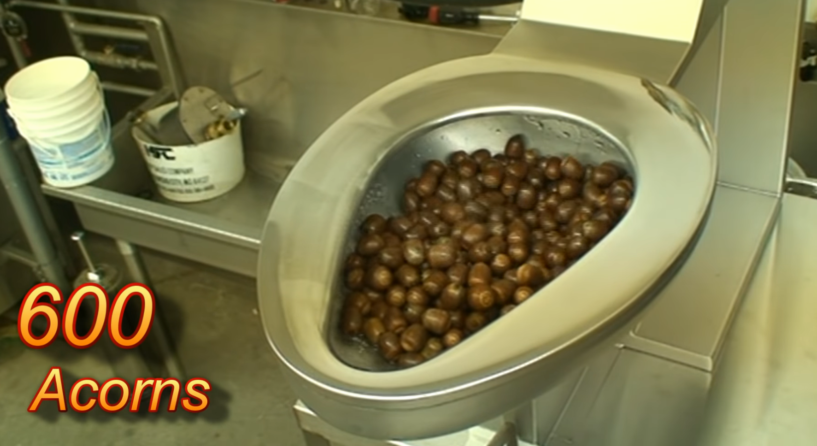 does it flush / Boing Boing