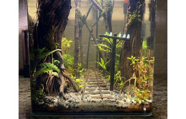 88 Koleksi Design For Aquarium Gratis Terbaru