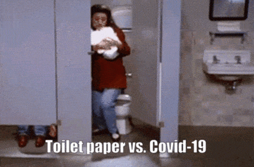 Image result for PERSON HOARDING TOILET PAPER GIF