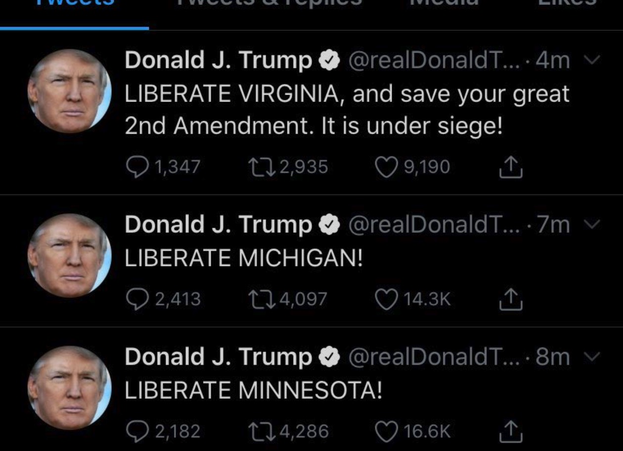 Trump Appoints Himself Leader Of The Lockdown Rebellion By Tweeting Liberate Virginia Michigan 2975
