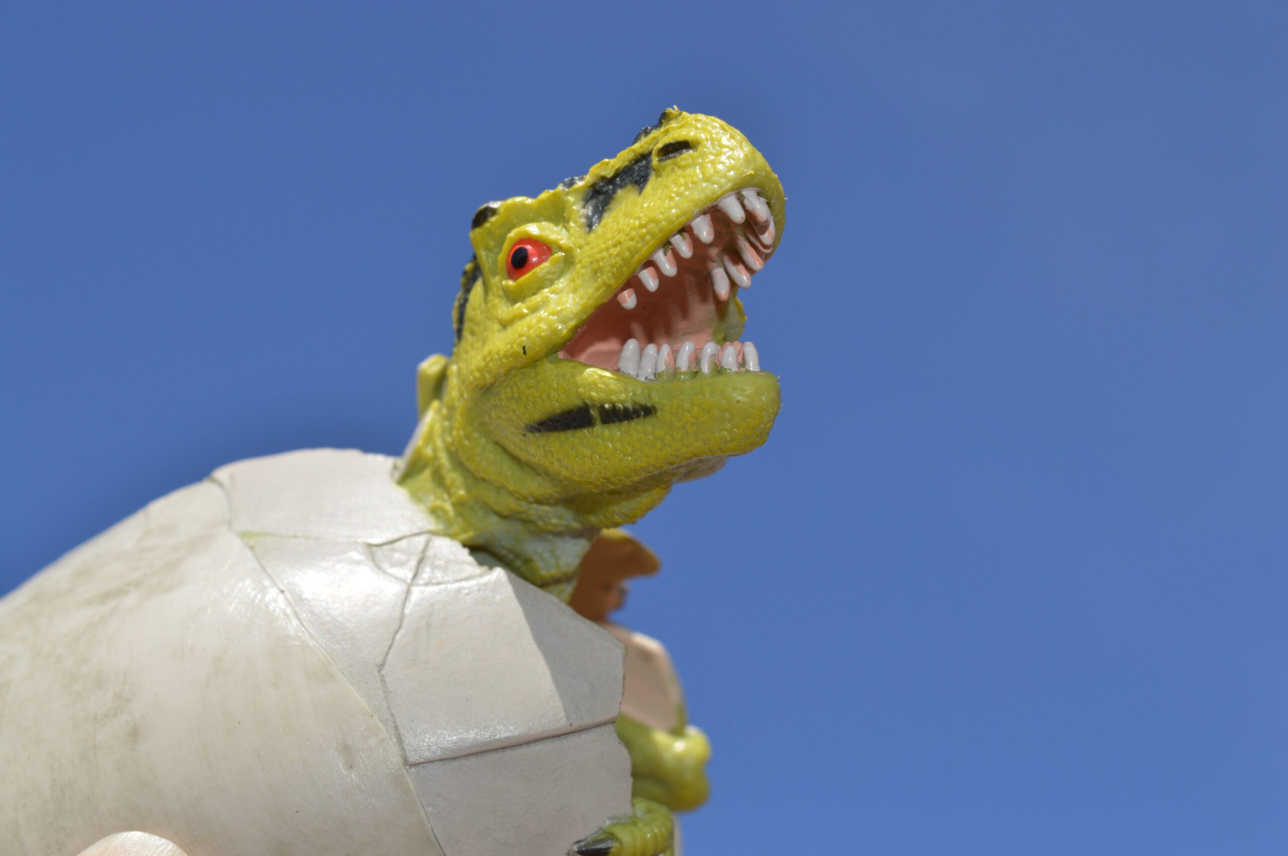 Largest known softshell reptile egg discovered in Antarctica / Boing Boing